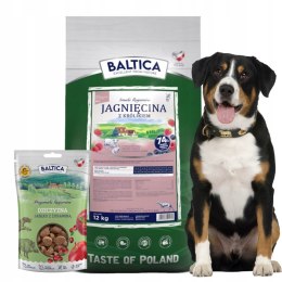 BALTICA JAGNIĘCINA Z KRÓLIKIEM 12KG M/L PYSZNY GRATIS
