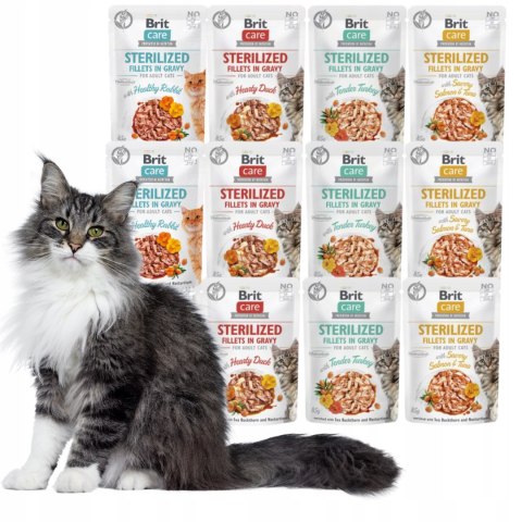 BRIT CARE CAT FG STERILISED 12X85