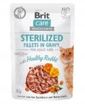 BRIT CARE CAT FG STERILISED 12X85