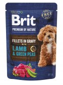 BRIT PREMIUM BY NATURE POUCH GRAVY FILLETS MULTIPACK