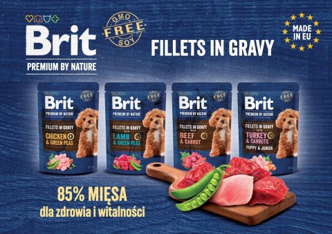 BRIT PREMIUM BY NATURE POUCH GRAVY FILLETS MULTIPACK