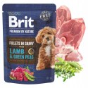 BRIT PREMIUM BY NATURE POUCH GRAVY FILLETS MULTIPACK