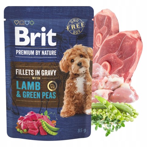 BRIT PREMIUM BY NATURE POUCH GRAVY FILLETS MULTIPACK