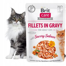 Brit CAT FILLETS IN GRAVY Care GF Savory Salmon 85g
