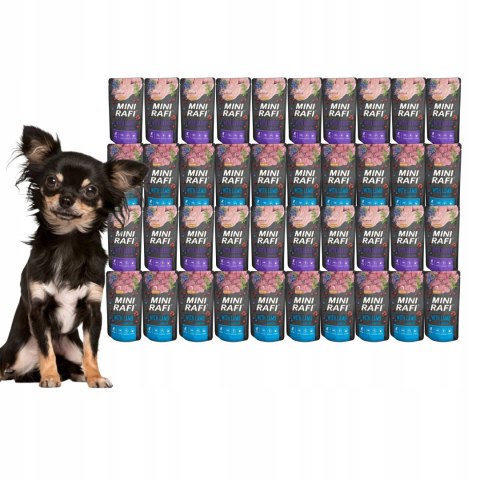 Dolina Noteci RAFI MINI Mix Smaków 40x150g ZESTAW DLA MAŁYCH RAS KRÓLIK JAG