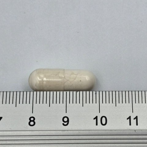 Game Dog Flora Protect 60 kaps. PROBIOTYK