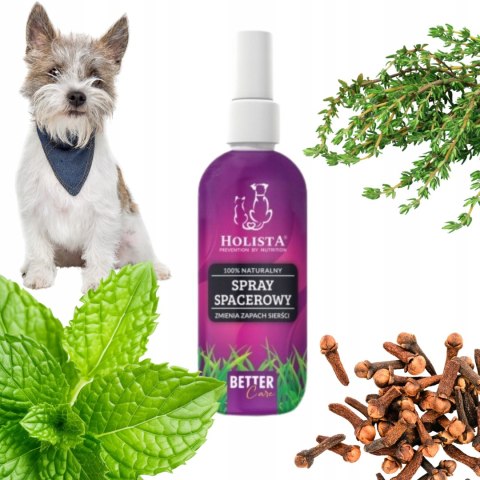 Holista Spray Spacerowy 100ml