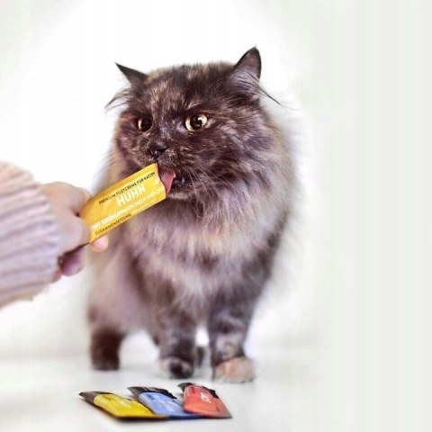 MOONLIGHT DINNER CREME SOS POLEWA PRZYSMAK DLA KOTA KURCZAK OMUŁEK I KOMOSA