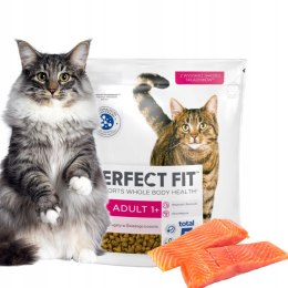 PerfectFit Adult Sucha karma dla kota dorosłego z łososiem 750g