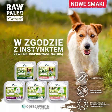 RAW PALEO DUCK PATE MINI PUPPY alu tray 150g