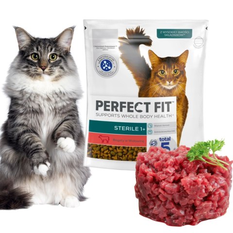 SUCHA KARMA PERFECT FIT STERILE DLA KOTA Z WOŁOWINĄ 750G
