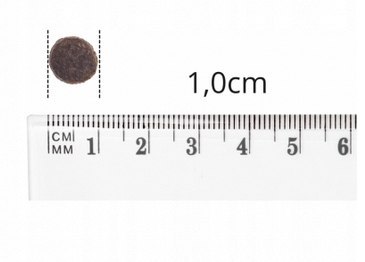 BALTICA ADULT BALTIC FISH 12KG Karma z rybami bałtyckimi XL