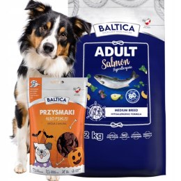 BALTICA ADULT SALMON MEDIUM 12kg + GRATIS, ULUBIONA KARMA ALERGIKA