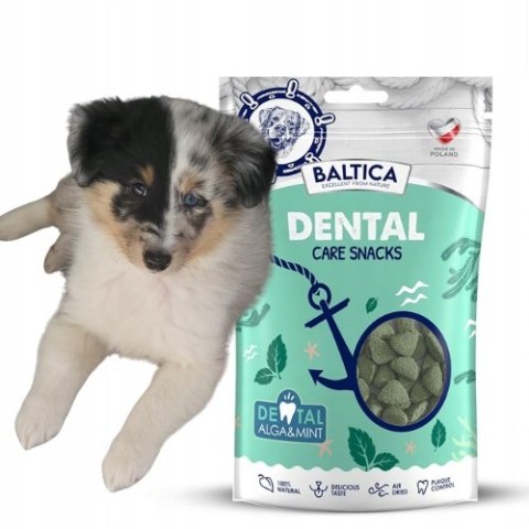 BALTICA SNACKS Dental Care 100g z algą i miętą