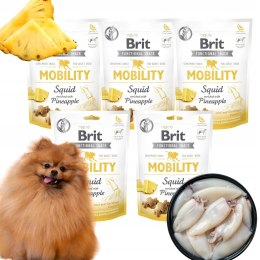 BRIT FUNCTIONAL MOBILITY 5X150 RZYSMAKI DLA PSA NA STAWY Z KALMARAMI