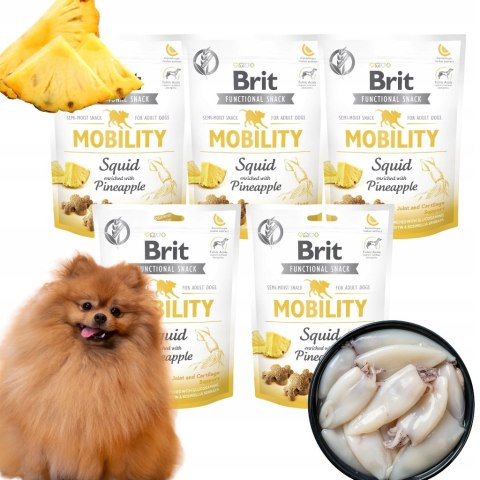 BRIT FUNCTIONAL MOBILITY 5X150 RZYSMAKI DLA PSA NA STAWY Z KALMARAMI