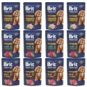 BRIT PREMIUM BY NATURE POUCH GRAVY FILLETS MULTIPACK