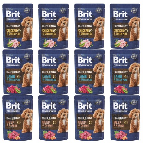 BRIT PREMIUM BY NATURE POUCH GRAVY FILLETS MULTIPACK