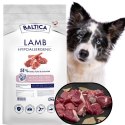 Baltica Adult Lamb&Rice L/XL 12kg