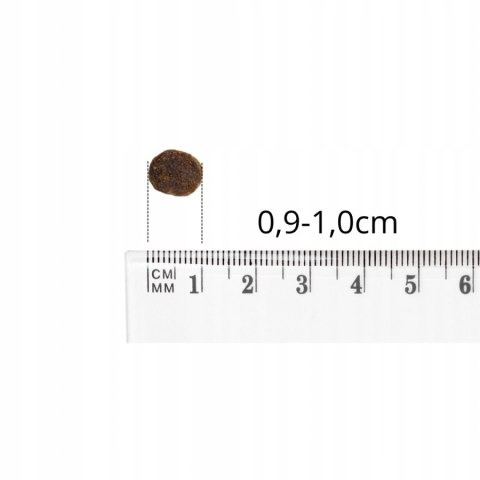 Baltica VENISON&RICE 12KG DZICZYZNA DUŻE RASY