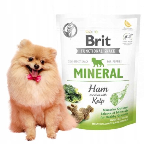 Brit Care Functional MINERAL Puppy 150 g PRZYSMAK FUNKCYJNY DLA PSA