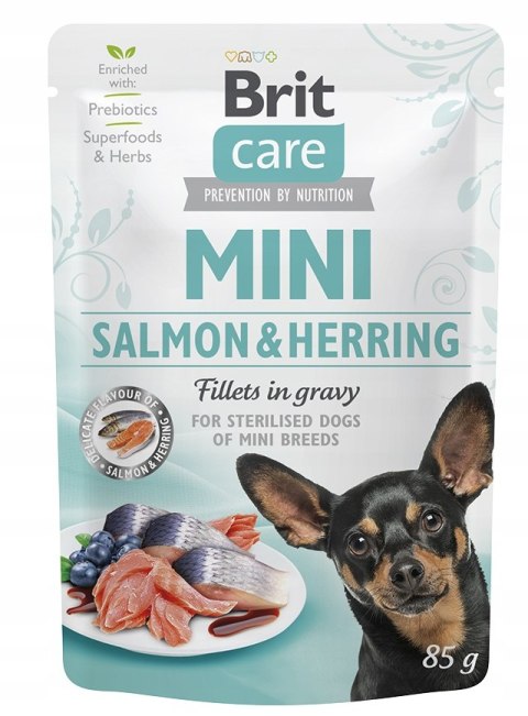 "Brit Care Mini Pouch Rabbit & Salmon 85g".