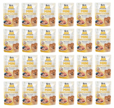 "Brit Care Mini Pouch Rabbit & Salmon 85g".