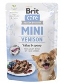 "Brit Care Mini Pouch Rabbit & Salmon 85g".