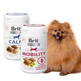 Brit Vitamins CALM+ MOBILITY SMACZKI Z WITAMINAMI