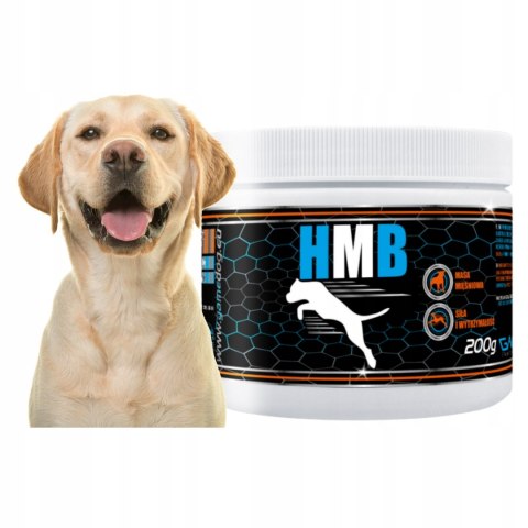 Game Dog HMB 200g odbudowa mięśnia SENIOR PIES AKTYWNY