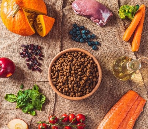 Pokusa Veal&Salmon CIELĘCINA Z ŁOSOSIEM 3kg Bezzbożowa JABŁKA DYNIA