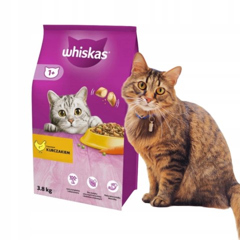 Whiskas karma sucha kurczak 3,8 kg dla kota dorosłego