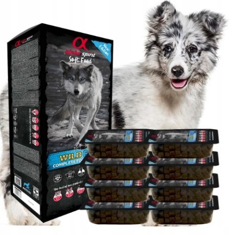 ALPHA SPIRIT WILD FISH 10X200 ZESTAW TACKI KARMA PÓŁMIĘKKA