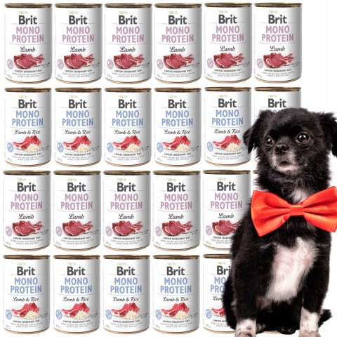 BRIT MONO protein MIX NAJLEPSZYCH SMAKÓW 24x400 g