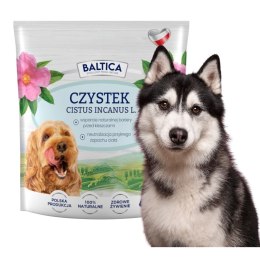 Baltica Cistus Czystek Przeciw Kleszczom 500 NATURALNA BARIERA DLA PSA