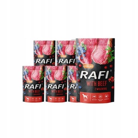 DOLINA NOTECI RAFI SASZETKI PREMIUM MIX 40x500g