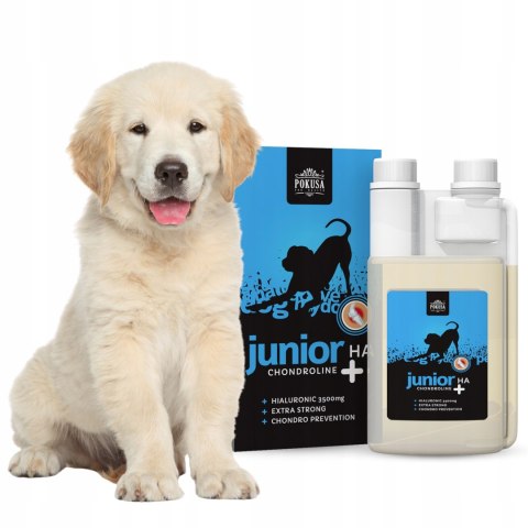 POKUSA Chondroline Junior+HA STAWY na stawy dla szczeniąt DŁUGI TERMIN