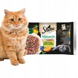 SHEBA Nature's Collection Wybór Smaków saszetka 4x85g Z DYNIĄ