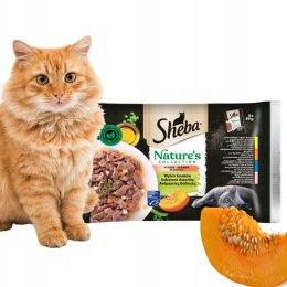 SHEBA Nature's Collection Wybór Smaków saszetka 4x85g Z DYNIĄ