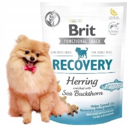 Smakołyk Brit Care Functional Snack Recovery 150g PRZYSMAK DLA PSA