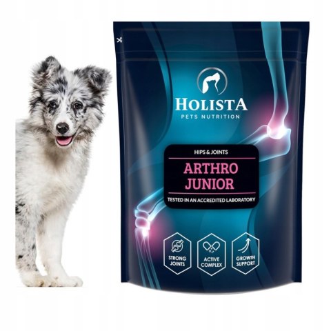 Arthro Junior Holista HolistaPets 600 g chondro