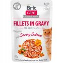 BRIT FILLETS IN GRAVY 12+1 SASZETKI DLA KOTA BOX