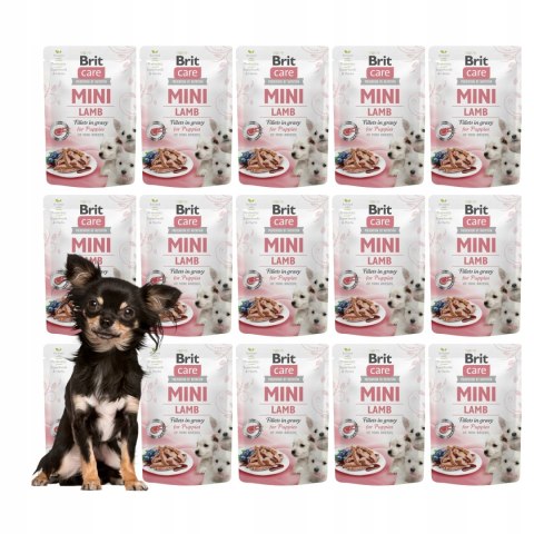 Brit Care Mini Pouch Puppy Lamb 15x85 g ZESTAW