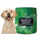 HOLISTA Boswellia seratta 100g POPRAWA RUCHOMOŚCI, PRZECIWBÓLOWO