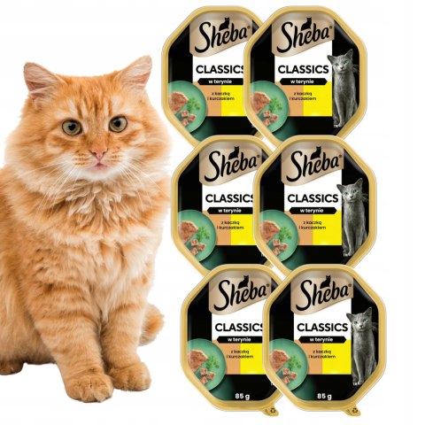 MARS Sheba tac.85gx6(4+2G) kaczka/kurczak pasztet (4) NEW