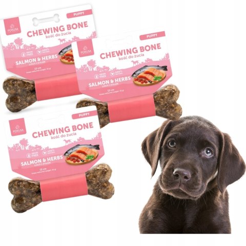 POKUSA DLA SZCZENIĄT 3XKość do żucia z ŁOSOSIEM, GRYZAK NAGRODA SMACZKI