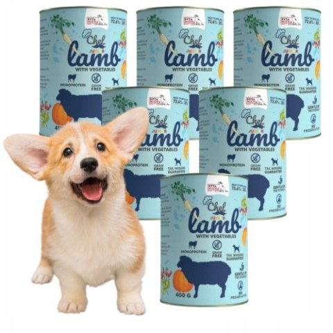 SYTA MICHA ZESTAW JUNIOR dla szczeniąt BEZZBOŻOWA JAGNIĘCINA 6X400g