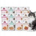 BRIT FILLETS IN GRAVY ZESTAW SASZETEK DLA KOTA 12X85G FILETY W SOSIE