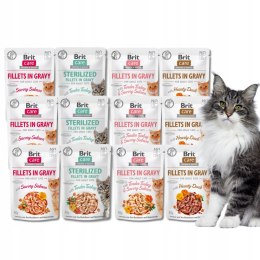 BRIT FILLETS IN GRAVY ZESTAW SASZETEK DLA KOTA 12X85G FILETY W SOSIE