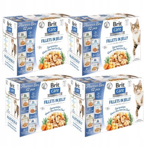 Brit Care Cat FJ Flavour Box in Jelly Pouch 4x12x85g